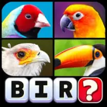 写真ワードゲーム