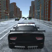 Police Traffic icon